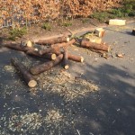 logs (480x640)