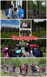 Lovely walk around the gardens and the house. We have learnt a lot about the Royal Family.