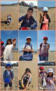 Collecting fossils, witch stones and shells.