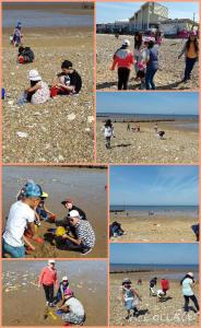 Collecting fossils, witch stones and shells.