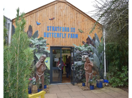 butterfly-farm butterfly-farm